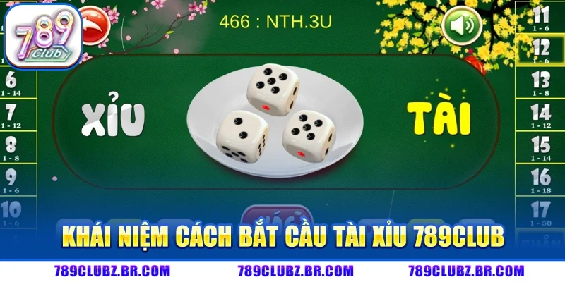 Khái niệm Cách bắt cầu tài xỉu 789CLUB